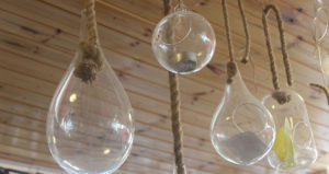 افيلا للزهور والاكسسوارات والهدايا