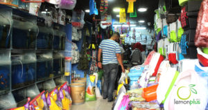 ابوربيع للطيور واسماك الزينة