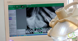 عيادة الدكتورة هبه عبدالحليم لطب الاسنان