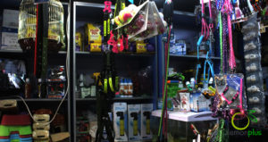 ابوربيع للطيور واسماك الزينة