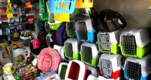 ابوربيع للطيور واسماك الزينة