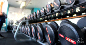 النشاط الرياضي