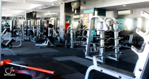 النشاط الرياضي