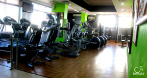 النشاط الرياضي