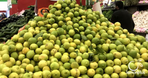 Crystal Vegetables & Fruits